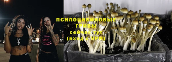 спиды Вязники