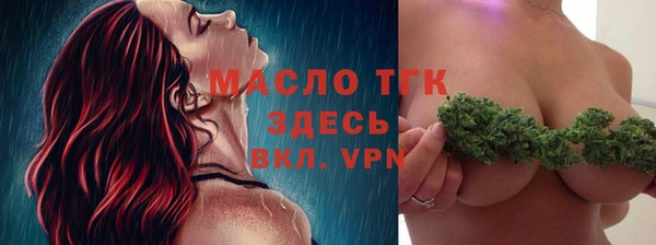 дмт Вяземский