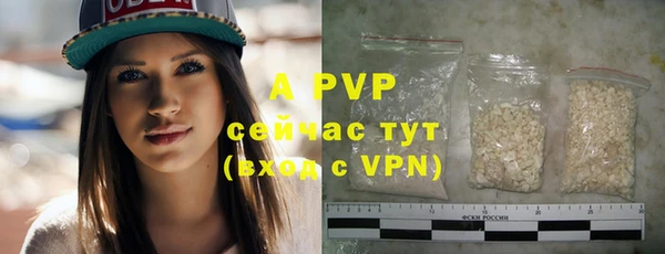 дмт Вяземский