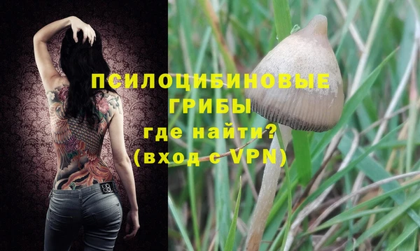 твердый Вязьма