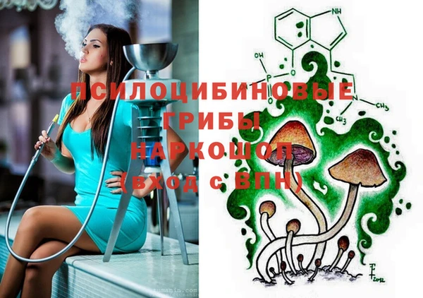 дмт Вяземский