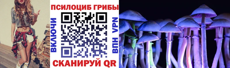 Псилоцибиновые грибы ЛСД Майкоп