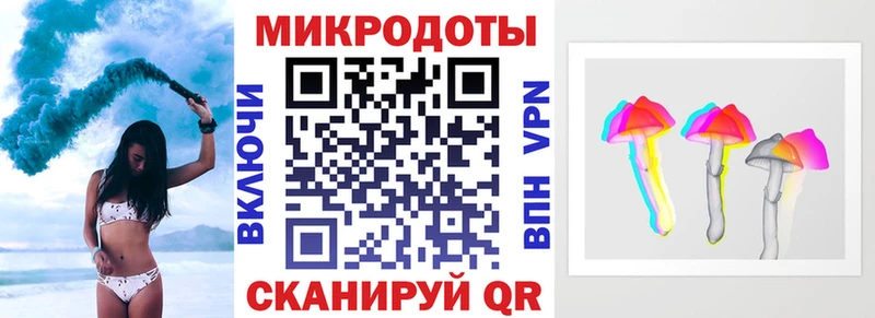 OMG зеркало Майкоп Псилоцибиновые грибы Cubensis