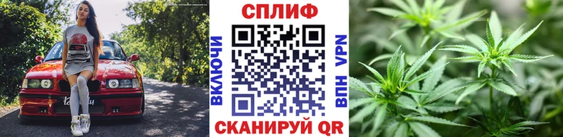 МАРИХУАНА гибрид купить наркоту гидра ССЫЛКА Майкоп